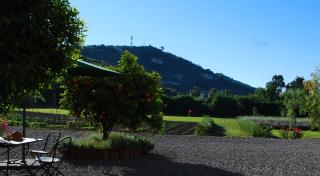 Agriturismo Coppi Rossi - Imperia - 3