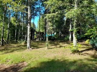 collico lodge - 1