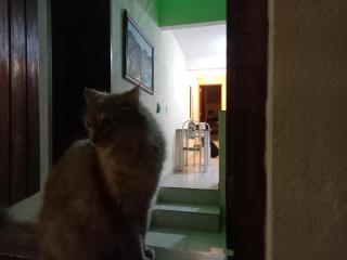 Hostel Luz - 7