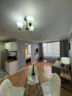 Departamento Santiago Centro Barrio Bellas Artes - 4