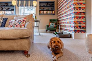 Ardwyn Bach - Ruthin - 7