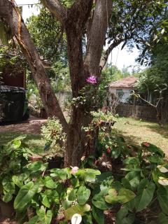 EECS Transit - Village stay - 8
