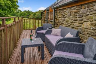 Coed Y Nant Barn - Cilybebyll - 7