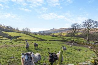 Southwaite Cottage - Outhgill - 6