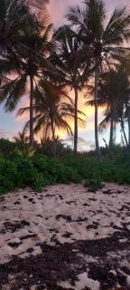 Island Oasis at Pelican Cove St Croix - 2