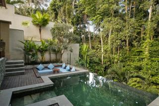 Changi Jungle Ubud Villas - 7