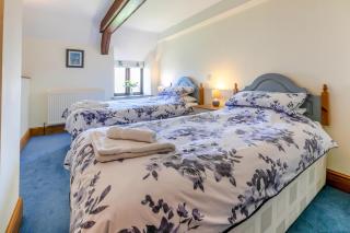 Tolraggot Rose - Saint Endellion - 1