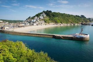 Sea Holly Looe - 3