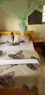 Ikariton International - 5