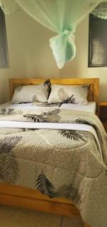 Ikariton International - 2