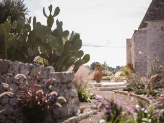 Holiday Home in Itria Valley with Private Pool - 4