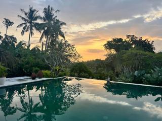 Luxury Villa with Pool, Yoga, Jungle activities & Surf near Balian Beach - 6