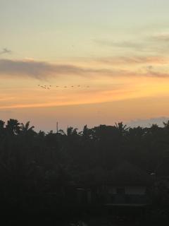 Puri merta agung - 5