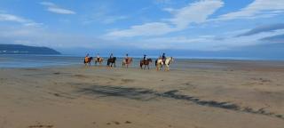 Two Rivers - Appledore - Appledore - 8
