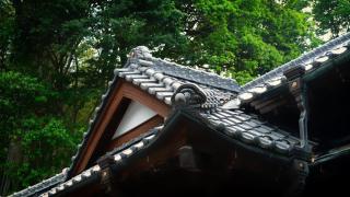 Kisya - Vacation STAY 18938 - 9