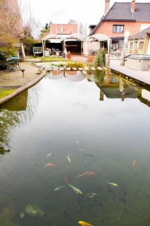 B&B 't Solveldje - Bilzen - 6