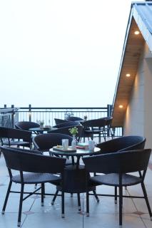 Konifer Greyvine - 3