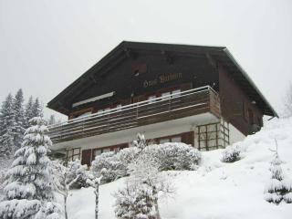 Chalet in Vorarlberg near Ski Slopes - 0