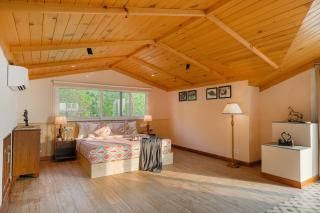 Konifer Greyvine - 5