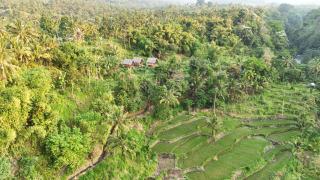 Pondok Sedi Bungalow - - 9