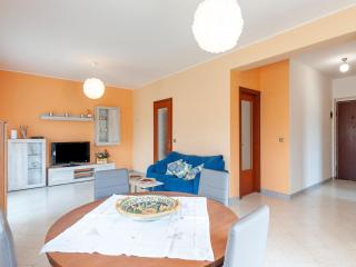 Etna & Sea View Apartment - Giarre - 8