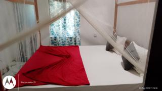 Hiriketiya Lima Homestay - 3