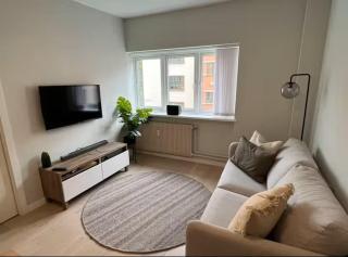 Cozy apartment centrally located - 0