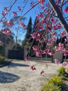 The Manor in Blue Mountains - 2