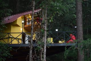 home on woods - 8