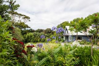 Dunluce Coastal Farmstay - Kaikoura Holiday Home - 9