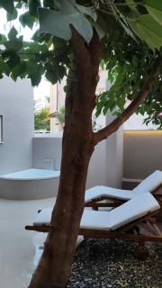 Dimora Cozy Retreat in Chania Old Town - Chania - 7