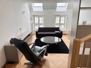 Klimatisierte Luxus-Dachterrassenwohnung im Zentrum - 9