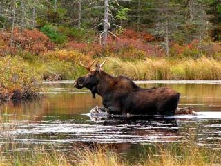 6 person holiday home in TORSBY-By Traum - 5