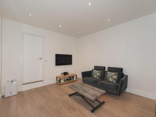 Modern 1-Bed Flat in Hammersmith West London - 1