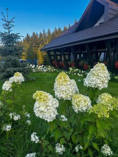 Rarău Retreat - 3