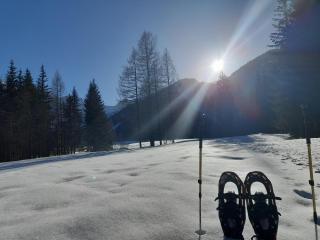 Apartment in Bodental near Ski Slopes - 6