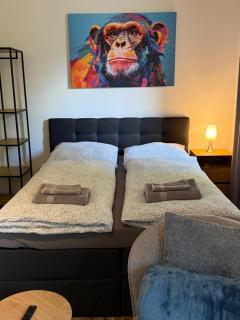 1 Zimmer Apartment Nähe Uni - 9