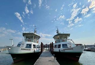 Il Glicine di Marco Polo - Cavallino-Treporti - 3