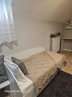 Mera Holiday Inn - Albeştii Pămînteni - 7