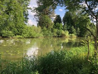 2 pièces avec jardin bord de seine proche forêt Fontainebleau - 3