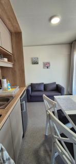 PLAS Mobile Home - 6