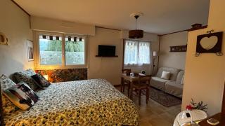 À 5 minutes du lac,studio 30m2,tout confort, parking privé gratuit, lit queen-size - 7