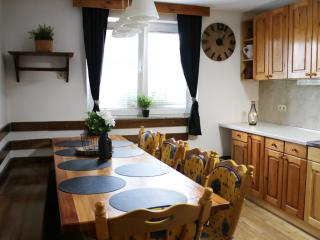 Vineyard cottage Ranč pri Hanzeku - 6