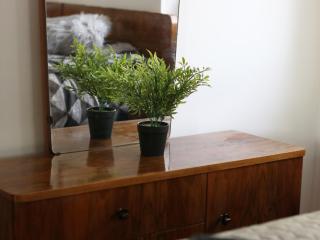 Vineyard cottage Ranč pri Hanzeku - 2