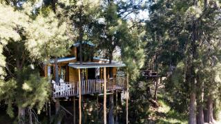 Vindoux Tree House Guest Farm & Spa - 5