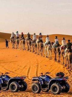 Glamping Under Stars - Merzouga - 4