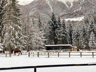 Prestigious apartment in Santa Maria Maggiore - 2