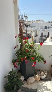 Bellissimo apartment Naxos - 5
