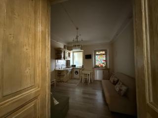 Antique 1BD Retreat near Old Tbilisi - 9