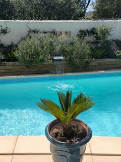 Au Coeur des vignes - 9